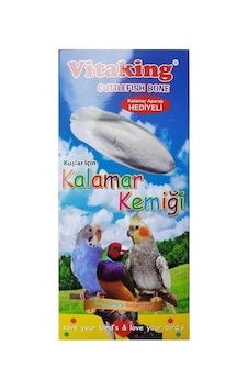 King Kalamar Kemiği + Kafes Aparatı 2 Adet King Kalamar Kemiği + Kafes Aparatı 2 Adet