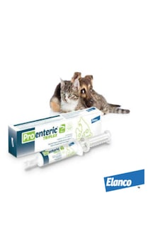 Elanco Pro-enteric Triplex 30 Ml Kedi Köpek Sindirim Bozukluğu, Gaz Ve İshal Macunu Elanco Pro-enteric Triplex 30 Ml Kedi Köpek Sindirim Bozukluğu, Gaz Ve İshal Macunu