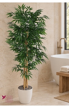 Yapay Çiçek Sitesi Beyaz Saksıda 5 Gövdeli Yapay Bambu Ağacı 160 Cm Banyo Spa Ve Güzellik Merkezi Dekorasyonu Yeşil Yapay Çiçek Sitesi Beyaz Saksıda 5 Gövdeli Yapay Bambu Ağacı 160 Cm Banyo Spa Ve Güzellik Merkezi Dekorasyonu Yeşil