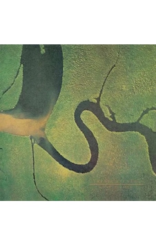 Dead Can Dance The Serpent's Egg Reissue Edition Lp Plak