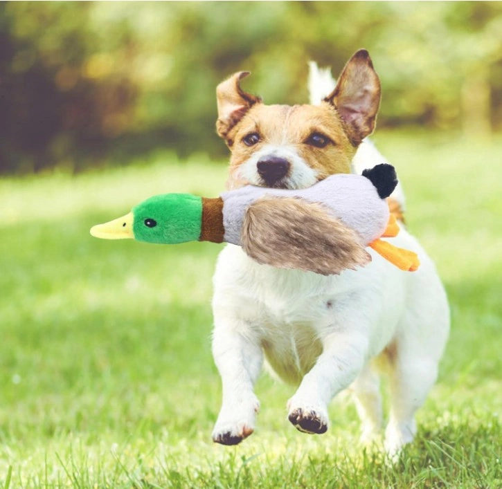 Zvnm Sesli Ördek Şekilli Peluş Köpek Oyuncağı Zcv12