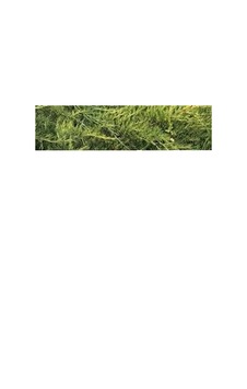 H-9 Örgülü 1/2 50mt.bahçe Hortumu 5580 H-9 Örgülü 1/2 50mt.bahçe Hortumu 5580
