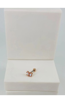 Tragus Kıkırdak Küpesi Diğer 03685196 Tragus Kıkırdak Küpesi Diğer 03685196
