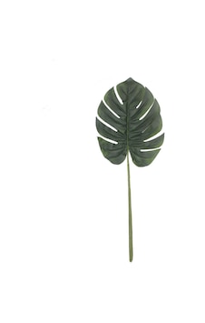 Mutluadim Yapay Devetabanı Yaprağı Monstera 37X46Cm Mutluadim Yapay Devetabanı Yaprağı Monstera 37X46Cm