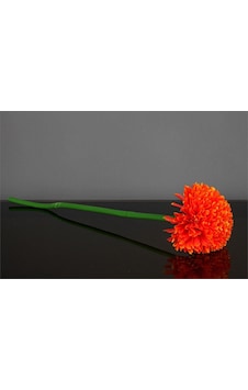 Vitale Uzun Saplı Yapay Kadife Çiçeği Ak.bg0120 Rose Red Vitale Uzun Saplı Yapay Kadife Çiçeği Ak.bg0120 Rose Red