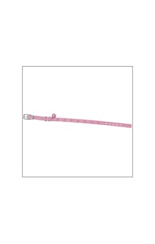 Uyguna-yakala 10mm 30cm Pembe Pati Baskılı Kedi-köpek Tasması-sma.309 Uyguna-yakala 10mm 30cm Pembe Pati Baskılı Kedi-köpek Tasması-sma.309