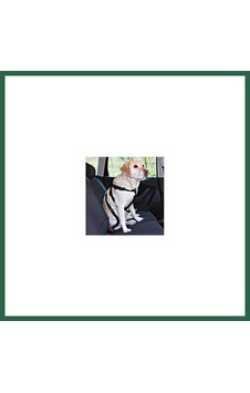 Trixie Köpek Emniyet Kemeri Medium 50-70 Cm Bzs01 Trixie Köpek Emniyet Kemeri Medium 50-70 Cm Bzs01