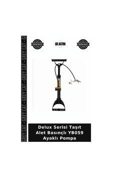 Delux Serisi Taşıt Alet Basınçlı Yb059 Ayaklı Pompa