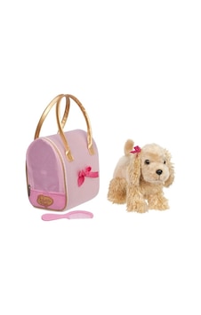 Pucci Pups C. Spaniel