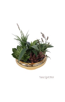 Yapay Çiçek Sitesi Çizgili Ufo Saksıda Yapay Sukulent Ve Yeşillik Aranjmanı 20 Cm Yeşil Yapay Çiçek Sitesi Çizgili Ufo Saksıda Yapay Sukulent Ve Yeşillik Aranjmanı 20 Cm Yeşil