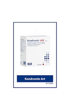 Kondromin Art 90 Tablet