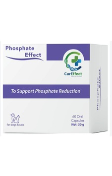 Phosphate Effect 60 Kapsül Kedi Köpek Böbrek Koruyucu Hiperfosfatemi Önleyici Renal Takviye Phosphate Effect 60 Kapsül Kedi Köpek Böbrek Koruyucu Hiperfosfatemi Önleyici Renal Takviye