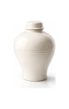 Terra Cotta Dekoratif Vazo Büyük Boy Toprak Vazo Beyaz Modern Salon Sehpa Masa Üstü Ev Dekoru 38 Cm Beyaz Beyaz Terra Cotta Dekoratif Vazo Büyük Boy Toprak Vazo Beyaz Modern Salon Sehpa Masa Üstü Ev Dekoru 38 Cm Beyaz Beyaz