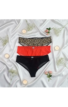 Kadın 3 Lü Desenli Külot Set Bb2147 Desenli