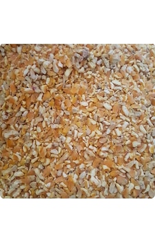 Yemli̇k Mısır Kırığı 25 Kg Yemli̇k Mısır Kırığı 25 Kg