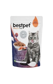Bestpet Jelly Somonlu Pouch Yetişkin Kedi Maması 24 x 85 G Bestpet Jelly Somonlu Pouch Yetişkin Kedi Maması 24 x 85 G