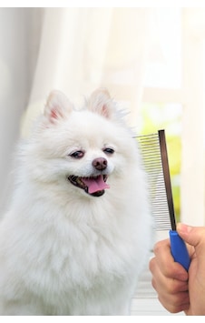 Kedi Köpek Tüy Açma Tarağı Kıtık Açıcı Bakım Tarağı Metal Kedi Köpek Tüy Açma Tarağı Kıtık Açıcı Bakım Tarağı Metal