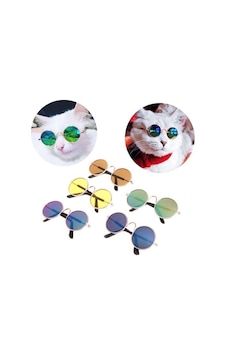 Nunbell Kedi Ve Köpekler İçin Gözlük Nunbell Kedi Ve Köpekler İçin Gözlük