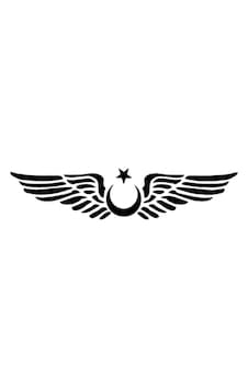 Kanatlı Ay Yıldız Oto Özel Yeni Sticker Siyah 25 X 5 Cm Kanatlı Ay Yıldız Oto Özel Yeni Sticker Siyah 25 X 5 Cm