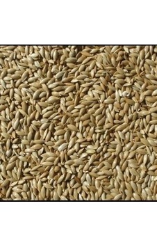 Vivid Sade Kanarya Yemi Bölünmüş 10 KG Vivid Sade Kanarya Yemi Bölünmüş 10 KG