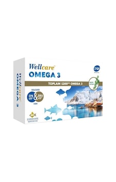 Wellcare Omega 3 Balık Yağı 1200 mg 30 Kapsül Wellcare Omega 3 Balık Yağı 1200 mg 30 Kapsül