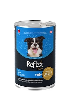 Northcity Jöle İçinde Et Parçacıklı Ton Balıklı Yetişkin Köpek Konservesi 12 Adet 400 Gr - Besleyici Lezzet Northcity Jöle İçinde Et Parçacıklı Ton Balıklı Yetişkin Köpek Konservesi 12 Adet 400 Gr - Besleyici Lezzet