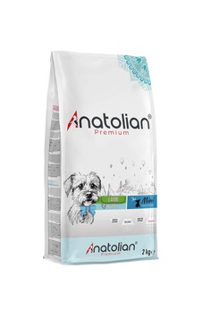 Mini Puppy Lamb Kuzulu Küçük Irk Yavru Köpek Maması 2 Kg Mini Puppy Lamb Kuzulu Küçük Irk Yavru Köpek Maması 2 Kg