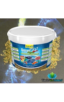 Tetra Pro Vegetable Algae Balık Yemi 50 Gam Tetra Pro Vegetable Algae Balık Yemi 50 Gam