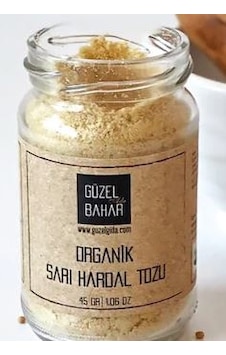 Güzel Ada Gıda Organik Sarı Hardal Tozu 45 G