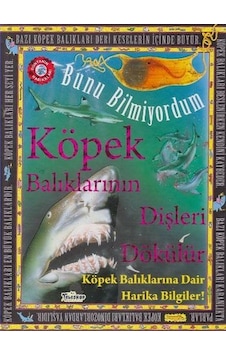 Köpek Balıklarının Dişleri Dökülür - Bunu Bilmiyordum - Flowerpot Press - Teleskop Popüler Bilim Köpek Balıklarının Dişleri Dökülür - Bunu Bilmiyordum - Flowerpot Press - Teleskop Popüler Bilim
