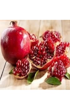 Tüplü Fidan Keben Nar Fidanları Tüplü Fidan Keben Nar Fidanları