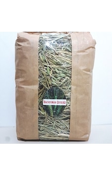 Hacıosman Çiftliği Yeşil Yulaf Yaprağı Çayı 170 G Hacıosman Çiftliği Yeşil Yulaf Yaprağı Çayı 170 G