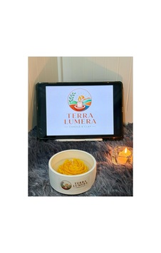 Bloom Bowl Rose Mum Sarı Bloom Bowl Rose Mum Sarı