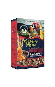 Nature Plan Delicious Serisi Kızıştırıcı 200 G