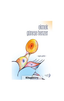 Ekmek Güneşe Benzer - Ayla Yıldız - Aydili Sanat Yayınları