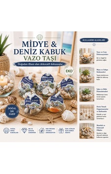 15 Adet Fileli Renkli Mix Eko Midye - Deniz Kabuk Vazo Taşı 5705 15 Adet Fileli Renkli Mix Eko Midye - Deniz Kabuk Vazo Taşı 5705