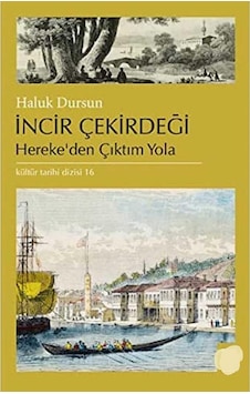İncir Çekirdeği Herekeden Çıktım Yola - Haluk Dursun İlk Baskı 2014