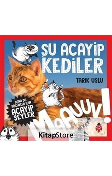 Kitapstore Daha Da Küçükler Için Şu Acayip Kediler / Tarık Uslu