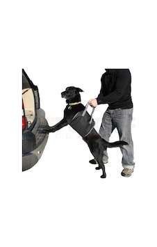Carmind Araç Arkası Köpek Koyma Aparatı