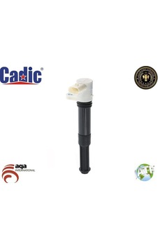 CADIC 45005624 Ateşleme Bobini Fiat Punto 1.4 CADIC 45005624 Ateşleme Bobini Fiat Punto 1.4