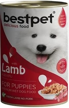 Bestpet Jöle İçinde Parça Kuzu Etli Konserve Yavru Köpek Maması 400 Gr Bestpet Jöle İçinde Parça Kuzu Etli Konserve Yavru Köpek Maması 400 Gr