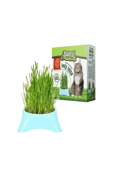 Fileli Kedi Çimi - Doğal Beslenme Alanı Fileli Kedi Çimi - Doğal Beslenme Alanı