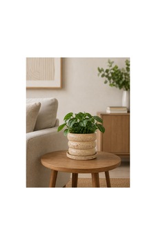 Tria Seramik Saksı Bej Kırmızı Siyah Benekli Çap:17cm Yük:15cm Tabaklı Artistik Sırlı Tria Seramik Saksı Bej Kırmızı Siyah Benekli Çap:17cm Yük:15cm Tabaklı Artistik Sırlı
