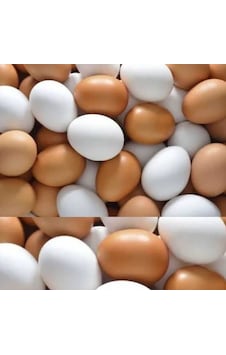 10 Adet Karışık Sahte Yumurta 10 Adet Karışık Sahte Yumurta