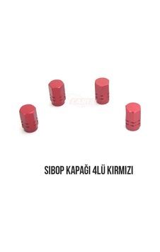 Sibop Kapağı Nikel Kırmızı Mavi Lastik Valf Kapağı Onkar Otk-24431