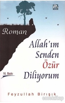 Allah'Im Senden Özür Diliyorum Feyzullah Birışık