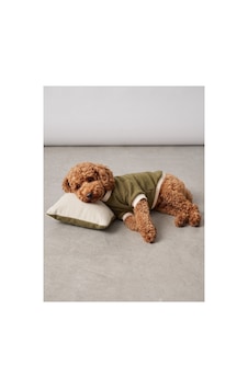 Natura Cozy Pati & Yastık Nefti Yeşil Polar Köpek Sweatshirt Ve Mini Yastık 3 Parça Natura Cozy Pati & Yastık Nefti Yeşil Polar Köpek Sweatshirt Ve Mini Yastık 3 Parça