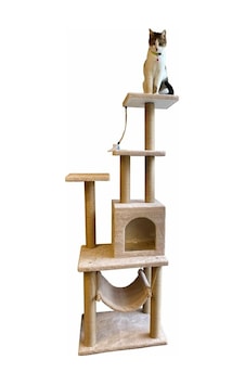 Pethomealpi Hamaklı Kedi Tırmalama Evi 140 CM Pethomealpi Hamaklı Kedi Tırmalama Evi 140 CM