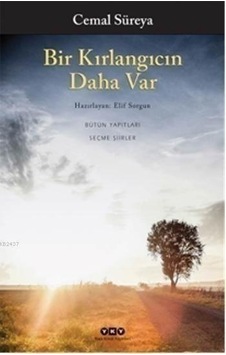 Bir Kırlangıcın Daha Var Bir Kırlangıcın Daha Var