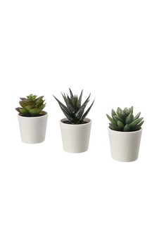Fejka Yapay Saksı Bitkisi Saksılı İç Mekan Dış Mekan Etli / 3'lü Paket Boyutu 2 ¼ " 3'lü Paket 203.953.31 Fejka Yapay Saksı Bitkisi Saksılı İç Mekan Dış Mekan Etli / 3'lü Paket Boyutu 2 ¼ " 3'lü Paket 203.953.31